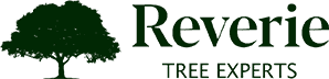 Reverie Tree Experts